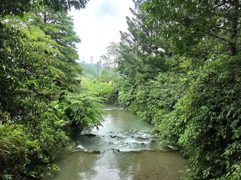 水流潺潺的四分溪（圖片來源：臺北市政府工務局大地工程處）