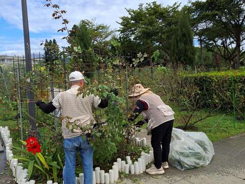 花海區志工修剪身影。（圖片來源：臺北市政府工務局公園路燈工程管理處）