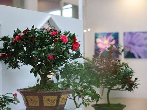 室內展場展示茶花盆景與藝術畫作，融合園藝與藝術之美-近拍（圖片來源：臺北市政府工務局公園路燈工程管理處）