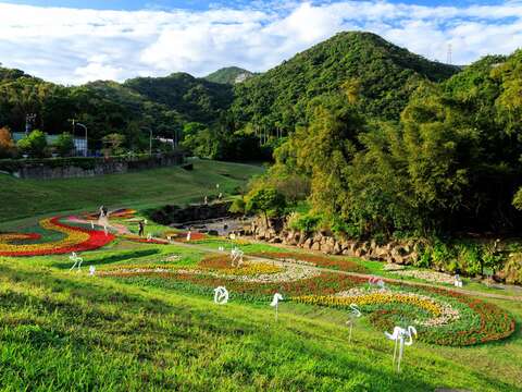 A Must-See This New Year’s Holiday: Sea of Flowers in Spectacular Bloom at Dagouxi Ecology and Water-Control Park