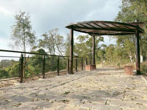 Come to see the new look of Nangang Tea Mountain.