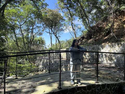 Come to see the new look of Nangang Tea Mountain.