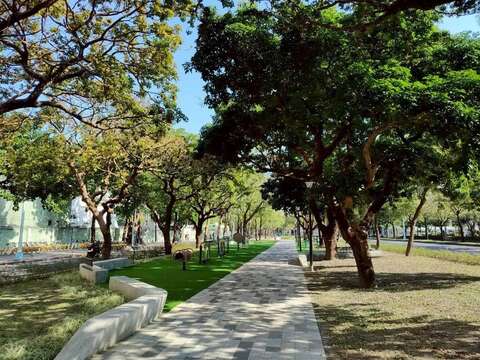 中正138號綠地開放且筆直的林蔭環境（圖片來源：臺北市政府工務局公園路燈工程管理處）