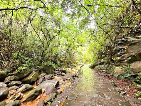 圓覺寺步道(圖片來源:臺北市政府工務局公園路燈工程管理處)