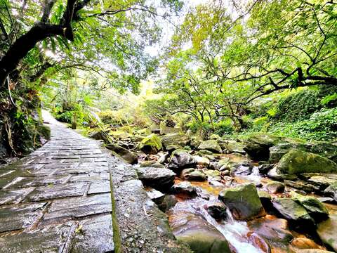 圓覺寺步道-小溪流(圖片來源:臺北市政府工務局公園路燈工程管理處)