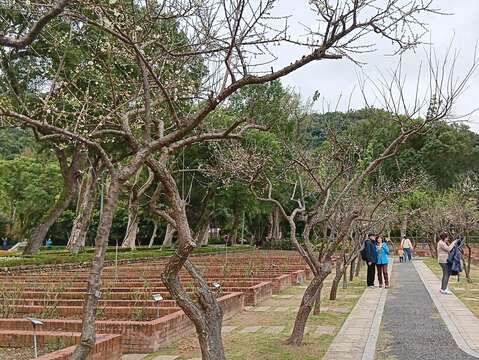 스린 관저 및 즈청 공원의 매화꽃 시즌