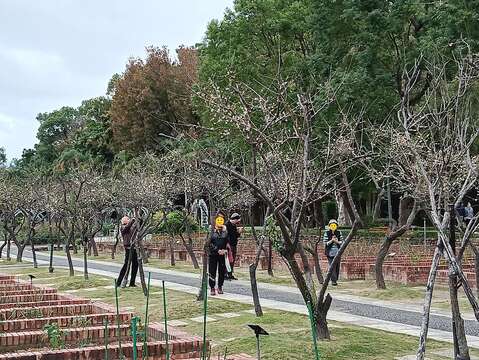 스린 관저 및 즈청 공원의 매화꽃 시즌