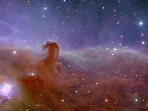 歐幾里得太空望遠鏡拍攝的馬頭星雲。（圖片來源：臺北市立天文科學教育館）