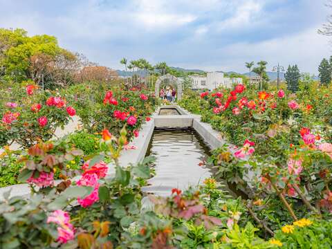 玫好時光在這裡（圖片來源：臺北市政府工務局公園路燈工程管理處）
