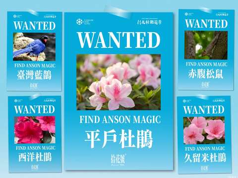 「祕寶懸賞攝影」捕捉大安森林公園中的蓬勃生態,拍照上傳到粉絲專頁指定貼文,就有機會獲得 AirPods Pro 3!(圖片來源:臺北市政府工務局公園路燈工程管理處)