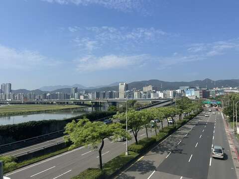 臺北正吹起優雅的「紫暴」旋風，堤頂大道上筆直的苦楝（圖片來源：臺北市政府工務局公園路燈工程管理處）