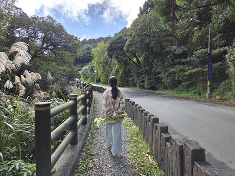 水圳步道（圖片來源：臺北市政府工務局大地工程處）