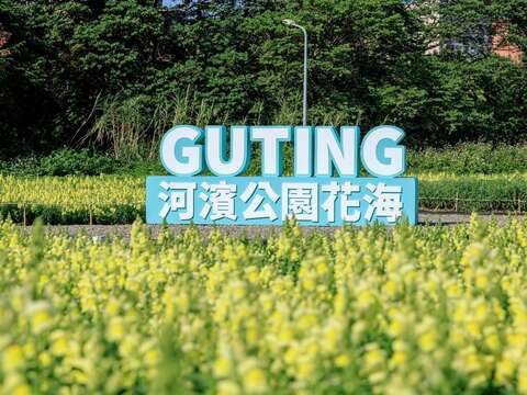 240,000 Flowers Bloom into a Stunning Sea of Flowers at Guting Riverside Park, Taipei’s Own “Provence.”