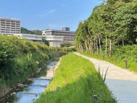 From “Concrete Ditch” to “Ecological Corridor”: One Year After the Zhinan River Bank Restoration Project, Results Shine as the Endangered Yellow-margined Box Turtle Reappears