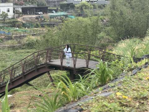稻浪棧橋-平台(圖片來源:臺北市政府工務局大地工程處)