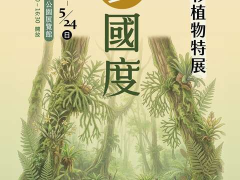 即日起到5月24日來青年公園園藝展覽館一探蕨類與石杉植物的奧妙（圖片來源：臺北市政府工務局公園路燈工程管理處）