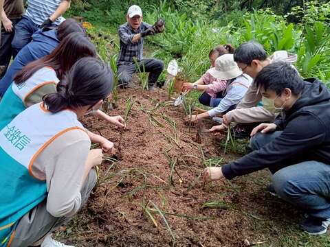 榮星公園花園生態守護志工隊帶領第一金投信穿梭於生態池邊坡除草、種樹。（圖片來源：臺北市政府工務局公園路燈工程管理處）