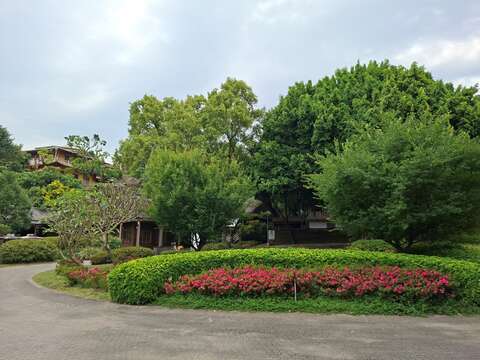 Summer Fragrance in Taipei: Gardenias Bloom at Yua