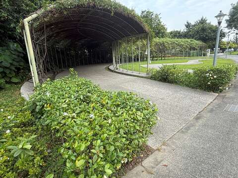 Summer Fragrance in Taipei: Gardenias Bloom at Yua