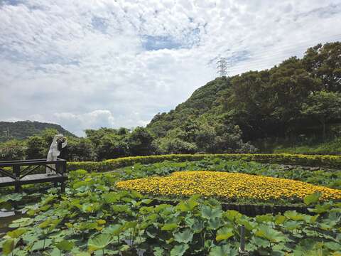 同心池-近拍（圖片來源：臺北市政府工務局大地工程處）