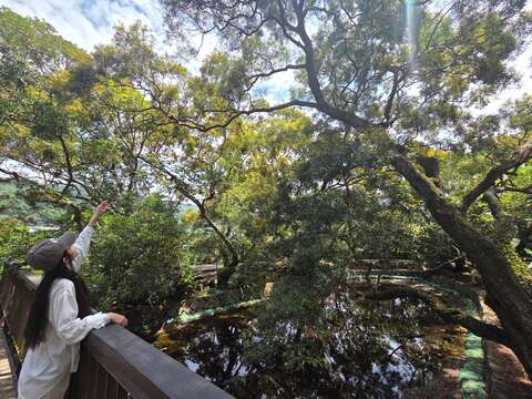 古錐埤（圖片來源：臺北市政府工務局大地工程處）