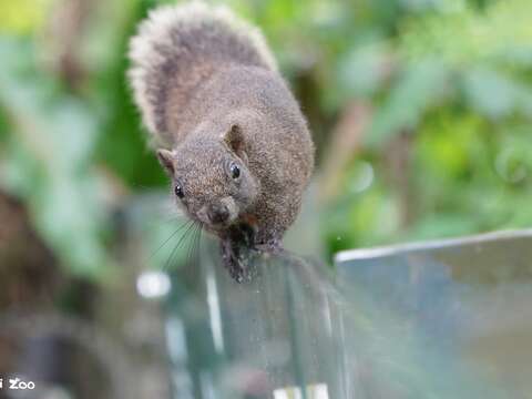 International Day for Biological Diversity: Urban