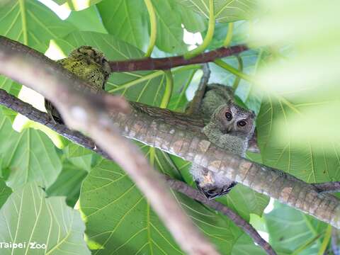 International Day for Biological Diversity: Urban
