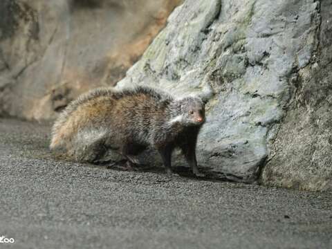 International Day for Biological Diversity: Urban
