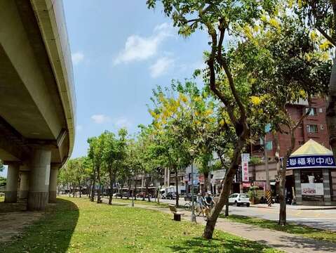 線形公園阿勃勒盛開（圖片來源：臺北市政府工務局公園路燈工程管理處）