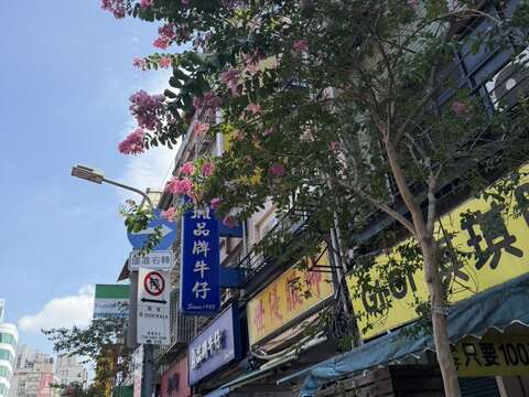 西園路紫薇形塑街景風情（圖片來源：臺北市政府工務局公園路燈工程管理處）