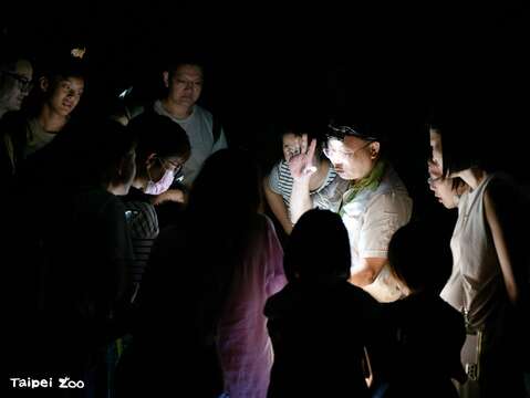 2024年夜間開放期間,曾經規劃夜間觀察體驗。(攝於2024年)（圖片來源：臺北市立動物園）