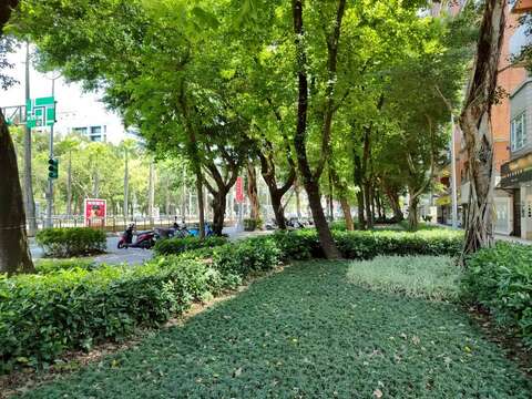 仁愛路四段作為市中心重要幹道,植栽景觀同時肩負環境美化與生活陪伴的角色(圖片來源:臺北市政府工務局公園路燈工程管理處)
