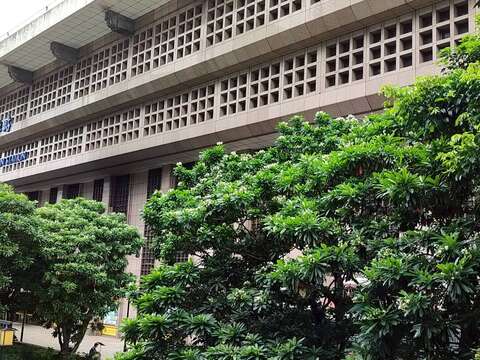 台北車站與海檬果（圖片來源：臺北市政府工務局公園路燈工程管理處）