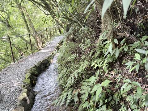 透水碎石步徑（圖片來源：臺北市政府工務局大地工程處）