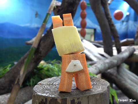 吊帶褲星人（圖片來源：臺北市立動物園）