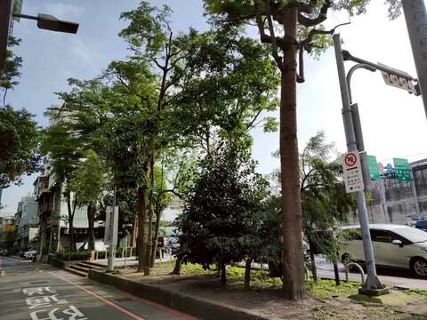 大同16號廣場面積為716平方公尺為1998年闢建,廣場位於大稻埕碼頭對側,鄰近大稻埕碼頭與百年貴德街,卻收藏著大稻埕最深沉的歷史記憶(圖片來源:臺北市政府工務局公園路燈工程管理處)