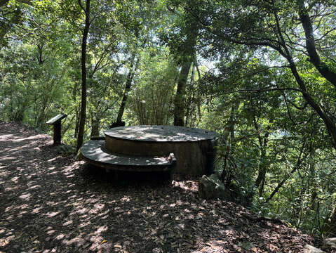 圓形休憩座椅（圖片來源：臺北市政府工務局公園路燈工程管理處）