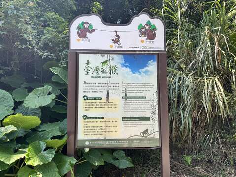 公園處設置的臺灣獼猴資訊看板（圖片來源：臺北市政府工務局公園路燈工程管理處）