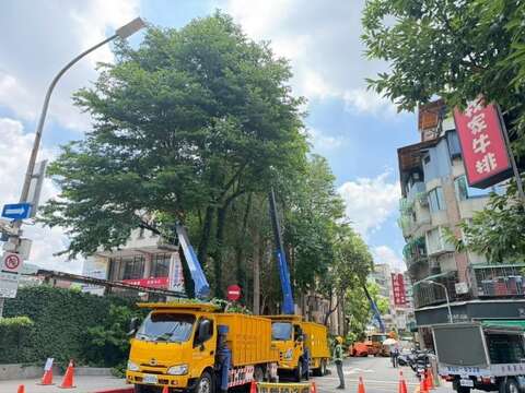 公園處加強修剪疏枝,積極做好防災整備（圖片來源：臺北市政府工務局公園路燈工程管理處）