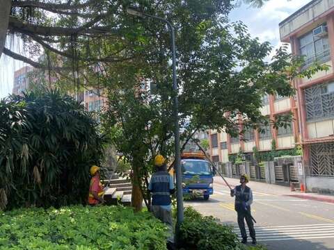 行道樹修剪（圖片來源：臺北市政府工務局公園路燈工程管理處）