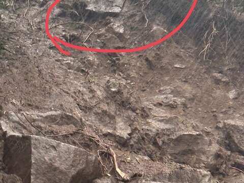 邊坡不穩定照片（圖片來源：臺北市政府工務局大地工程處）
