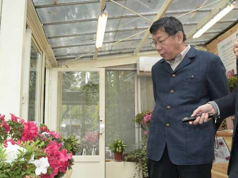 臺大園藝系主任張育森為市長導覽導覽各式品種杜鵑花
