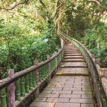 TAIPEI 秋季号 2016 Vol.05　台北北部で森を歩き 星空を眺める  コンクリートジャングルの桃源郷
