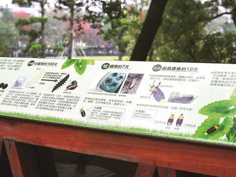 榮星花園公園設有觀看螢火蟲的解說牌，供賞螢市民了解螢火蟲。（攝影／黃建彬）