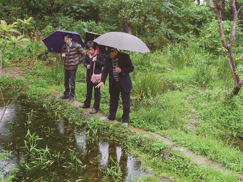 楊平世教授(右1)對公園志工解說榮星花園公園的生態復育池。（攝影／黃建彬）