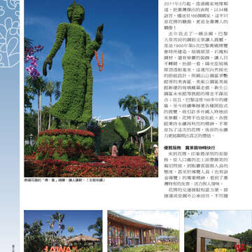 台北畫刊515期(99年12月)