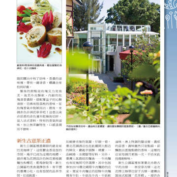 台北畫刊515期(99年12月)