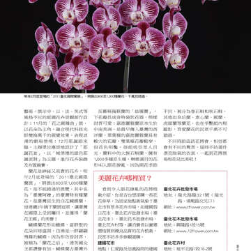 臺北畫刊513期(99年10月)