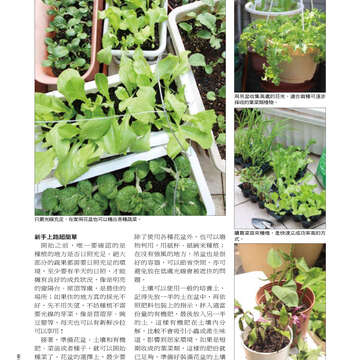 臺北畫刊513期(99年10月)