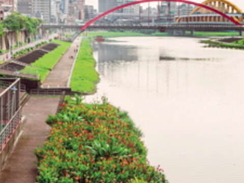 恢復昔日風采的台北河岸。（許斌攝）